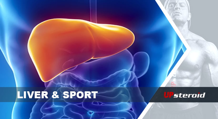 Sport na żywo