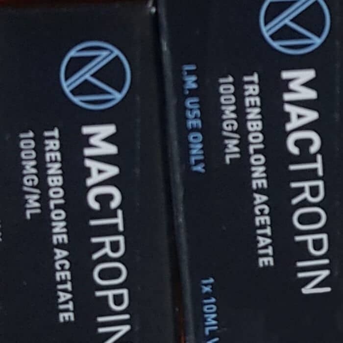 08.10.2019 BRUKSELA BELGIA