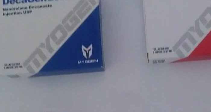 13.11.2019 VAULX EN VELIN FRANCJA