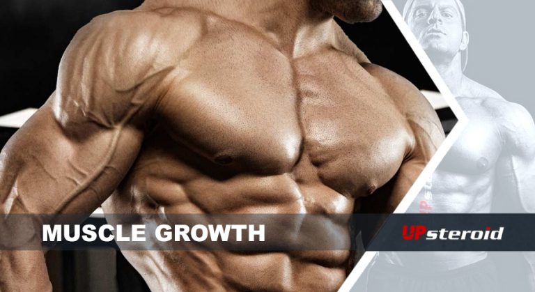 wzrost mięśni