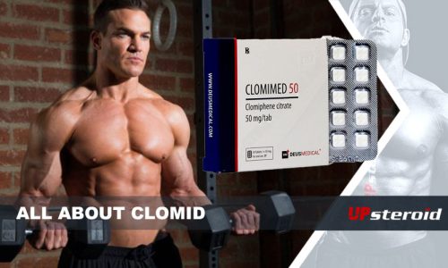 wszystko o clomidzie UP