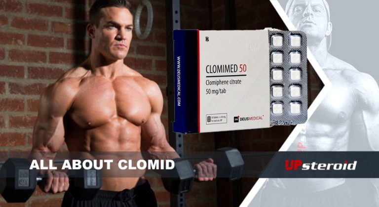 wszystko o clomidzie UP