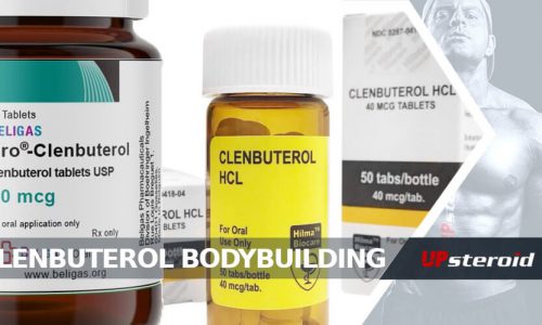 blog o kulturystyce clenbuterol