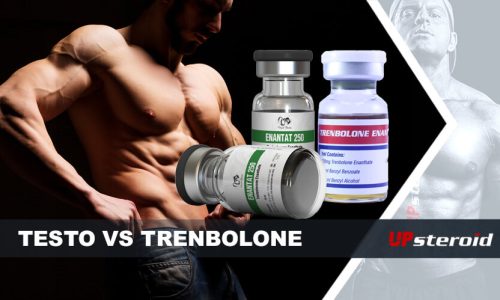 w górę blog testosteron i trenbolon