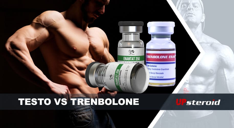 w górę blog testosteron i trenbolon