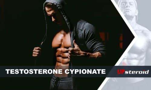 w górę blog testosteron cypionian dla kulturystyki
