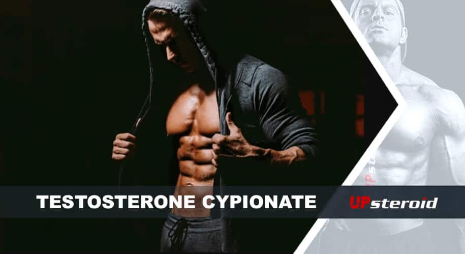 w górę blog testosteron cypionian dla kulturystyki