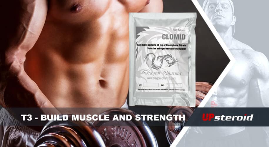 w górę blog t3 buduj siłę mięśni