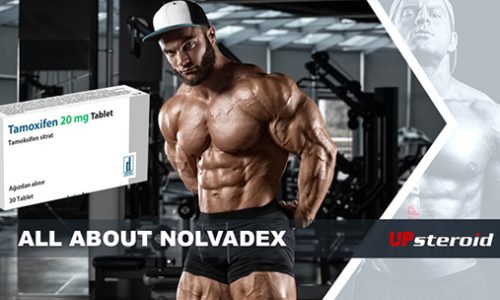 blog o nolvadexie mail