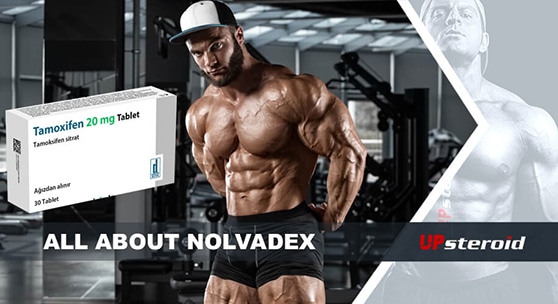 blog o nolvadexie mail