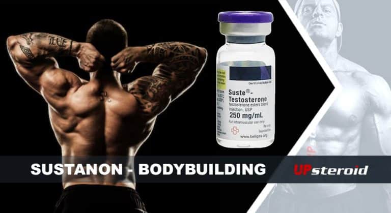 up blog susta kulturystyka