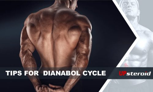 Porady blogowe dotyczące cyklu Dianabol