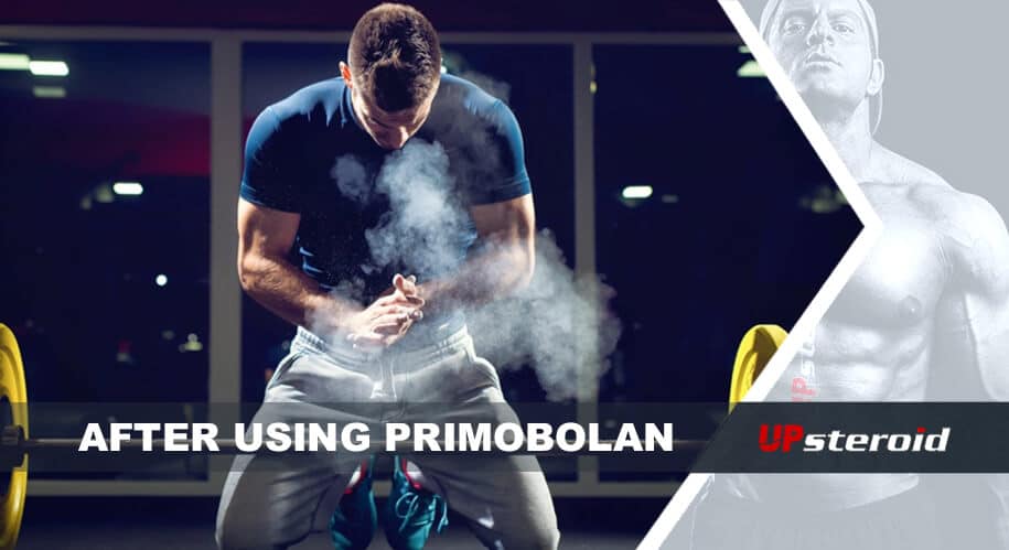 w górę bloga po użyciu primobolanu