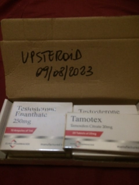 2023 08 09 64d393027bf7e W GÓRĘ