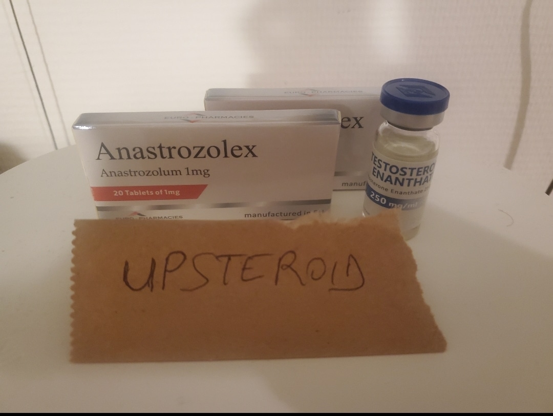 2023 08 23 64e5fdcdb29f6 Zrzut ekranu 20230823 143549 Galeria