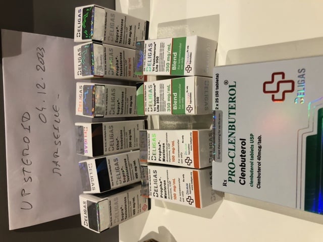 2023 12 08 6572fd6552e42 obraz0