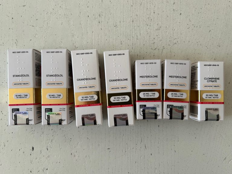 2024 02 12 65ca6799e5779 2 Zdjęcie 26.11.23