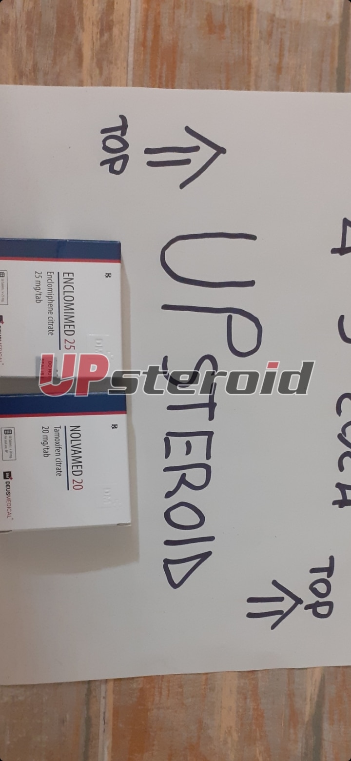 2024 03 04 65e635ce1c044 Zrzut ekranu 20240304 215539 Galeria
