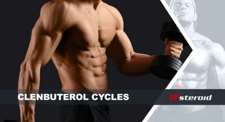 w górę blog cykl clenbu