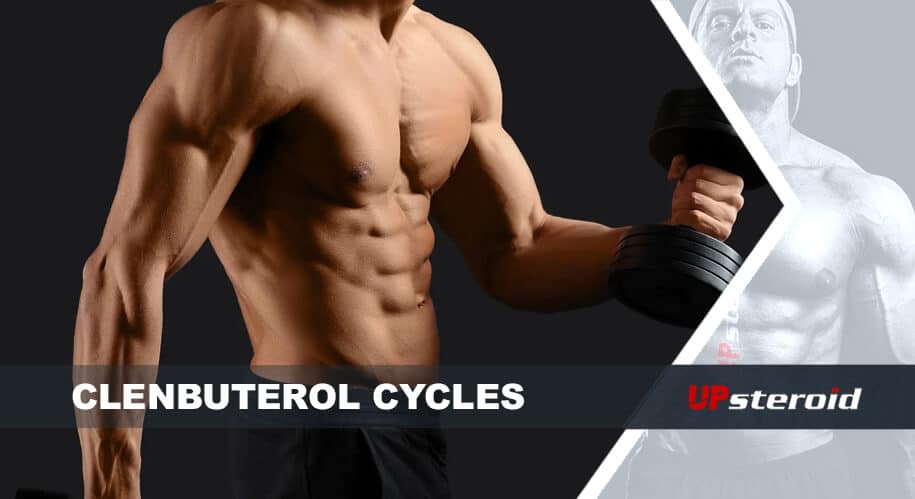 w górę blog cykl clenbu