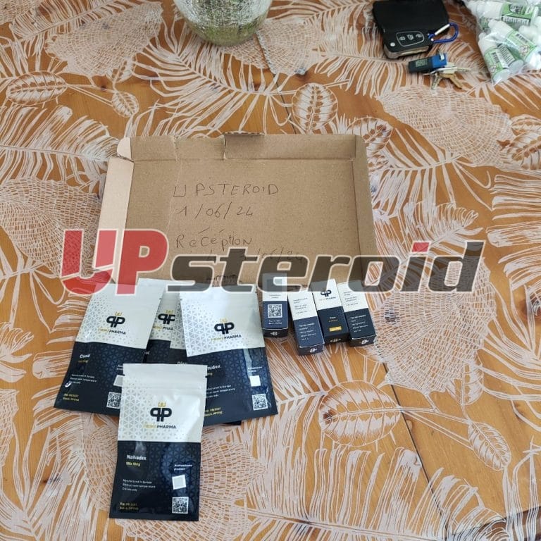 2024 06 07 6662fd9e025fd nośnik 1717763148545