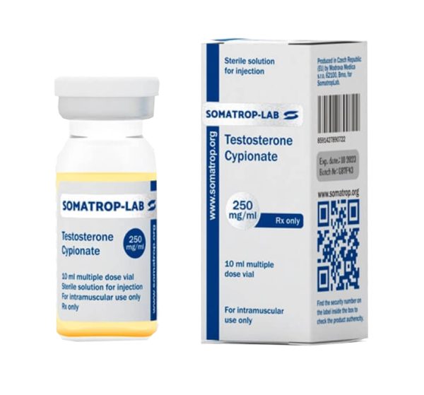 cypionian testosteronu 250 somatroplab