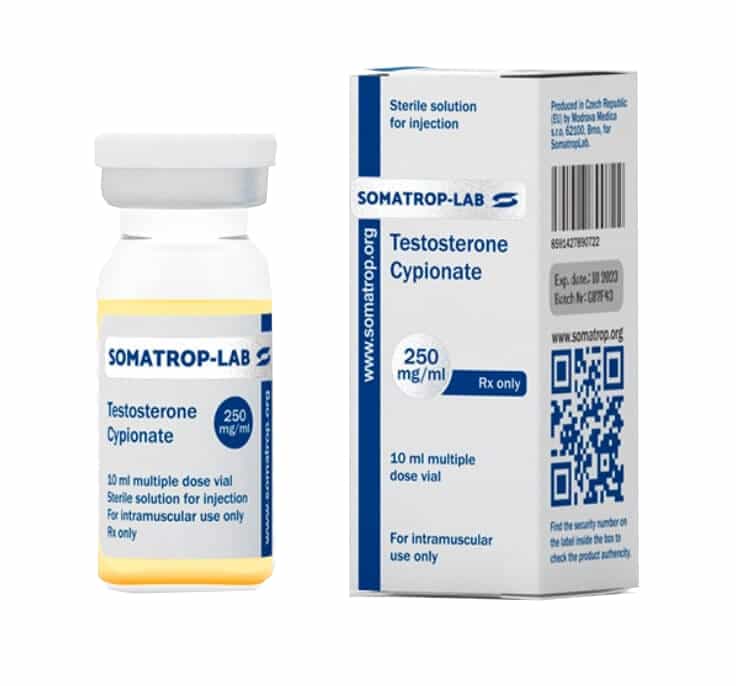 cypionian testosteronu 250 somatroplab