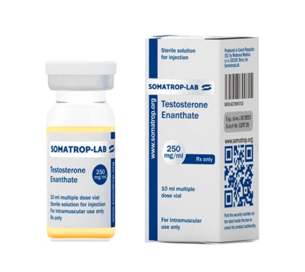enantan testosteronu 250 somatroplab