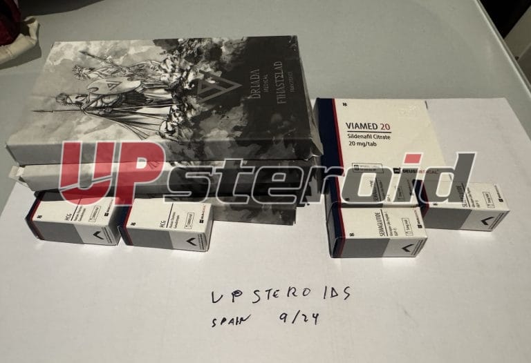 2024 09 16 66e86644ca2b6 Zdjęcie16 9 24190059