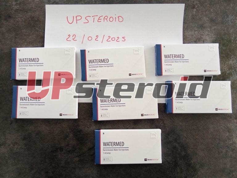 2025 02 25 67bdaf54419d5 Zdjęcia1a