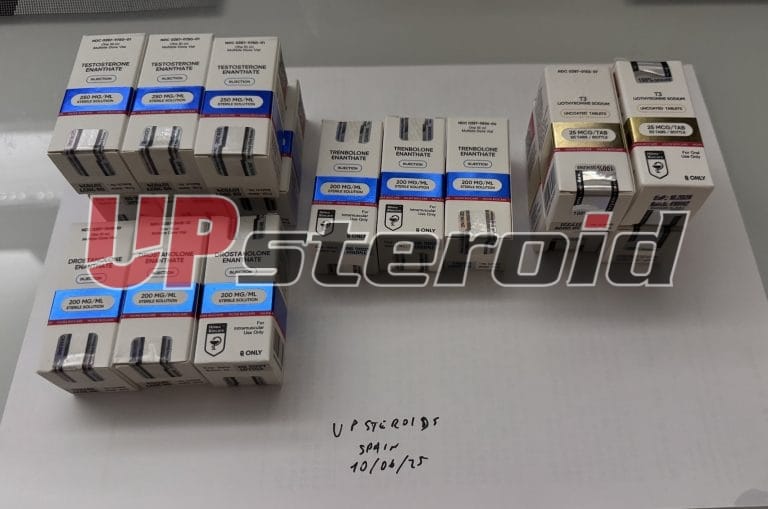 2025 06 12 684a84693067a Zdjęcie12 6 25053403