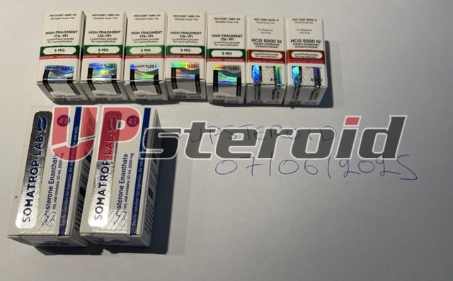 2025 07 07 686bc8c3c46f9 tŚredni