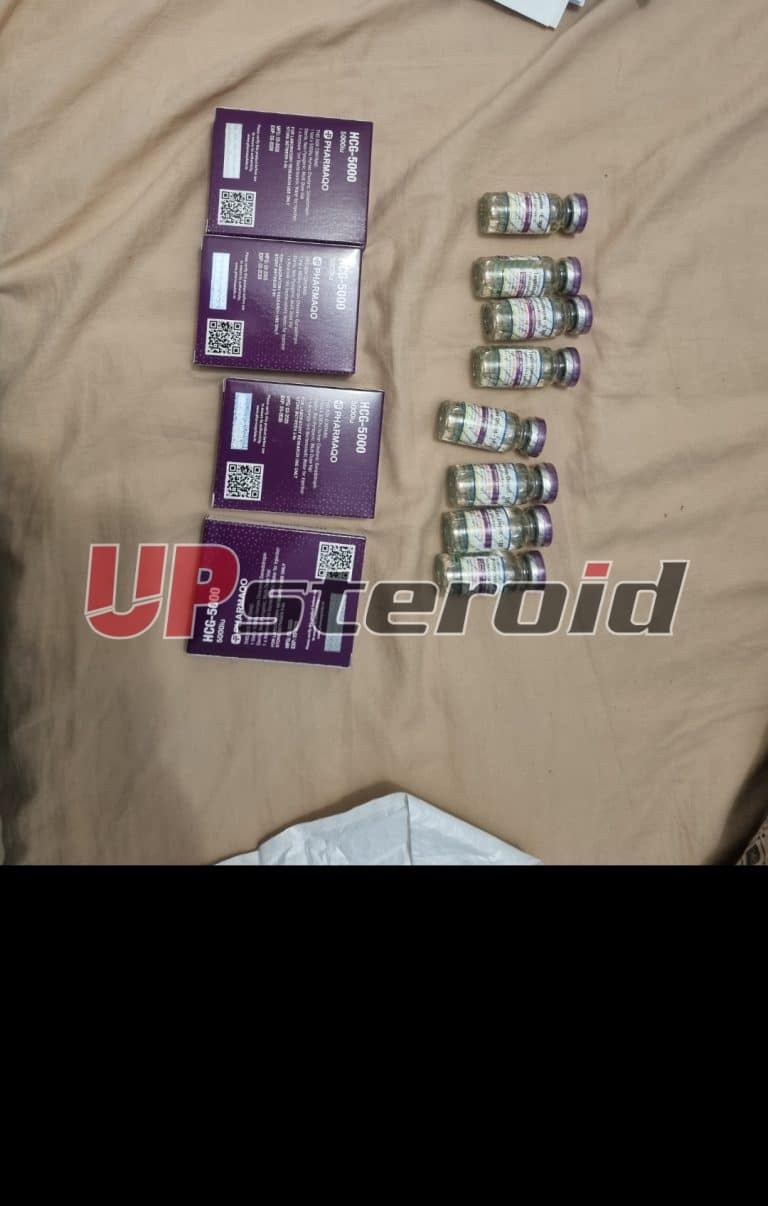 2025 08 04 68913be446f01 Zrzut ekranu 20250805 010032 Galeria