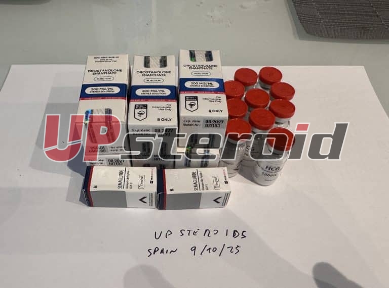 2025 10 09 68e7b0ad0aa28 Zdjęcie9 10 25143149