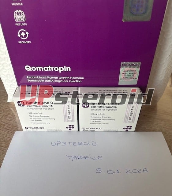 2026 01 06 695cc7139e385 obraz0